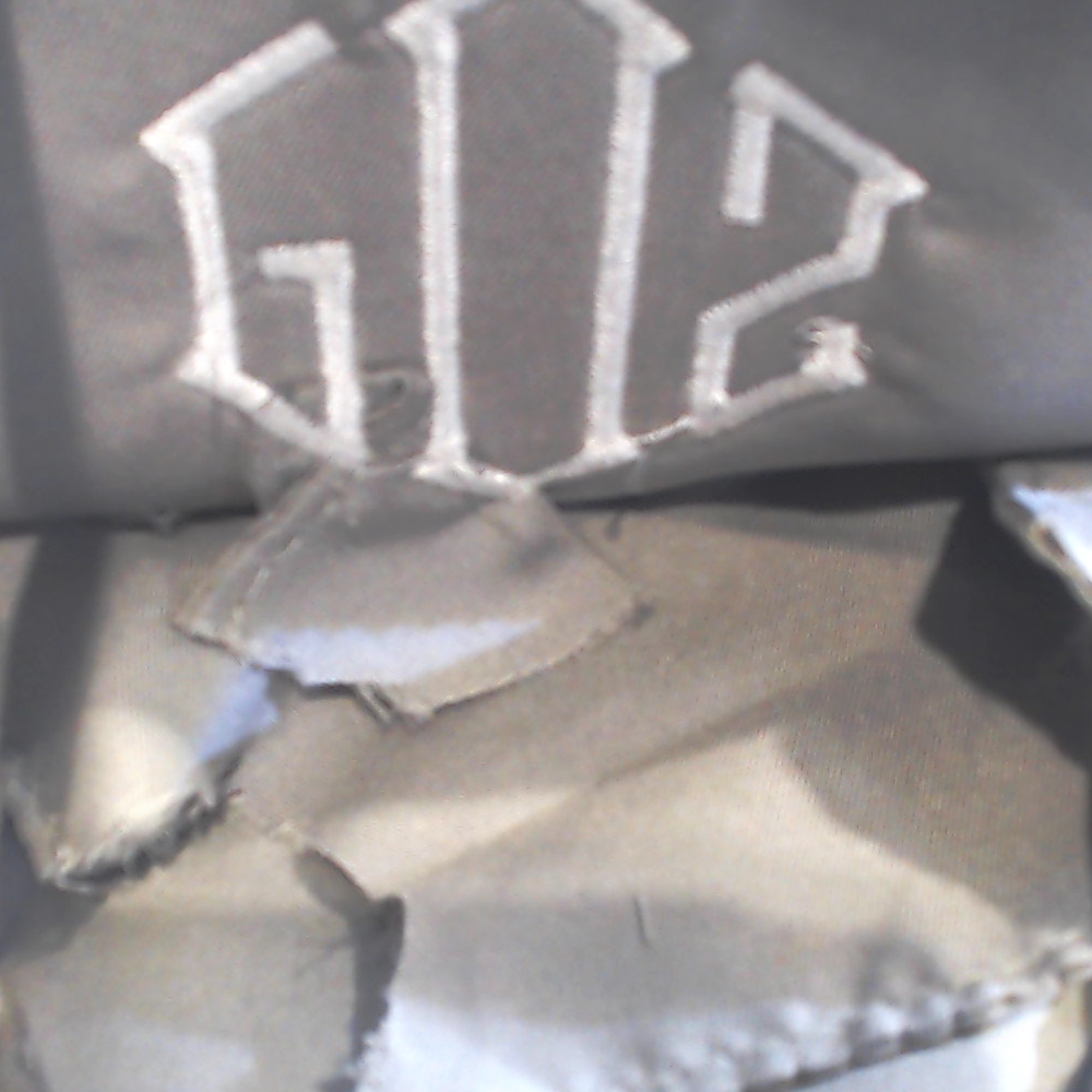 BLOOPER BAG: Monogrammed Sling Bag