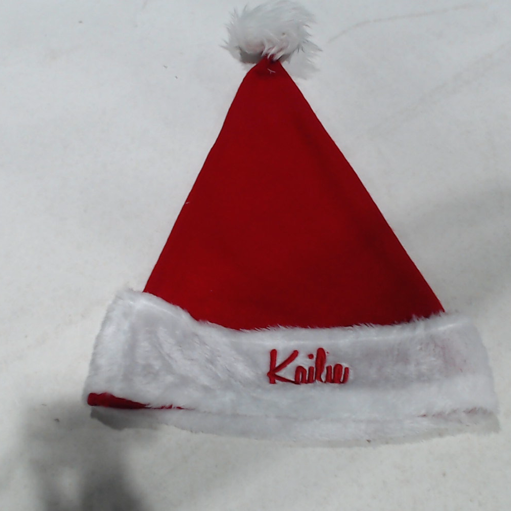 BLOOPER ACCESSORY: Personalized Santa Hat