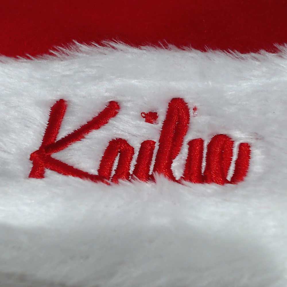 BLOOPER ACCESSORY: Personalized Santa Hat