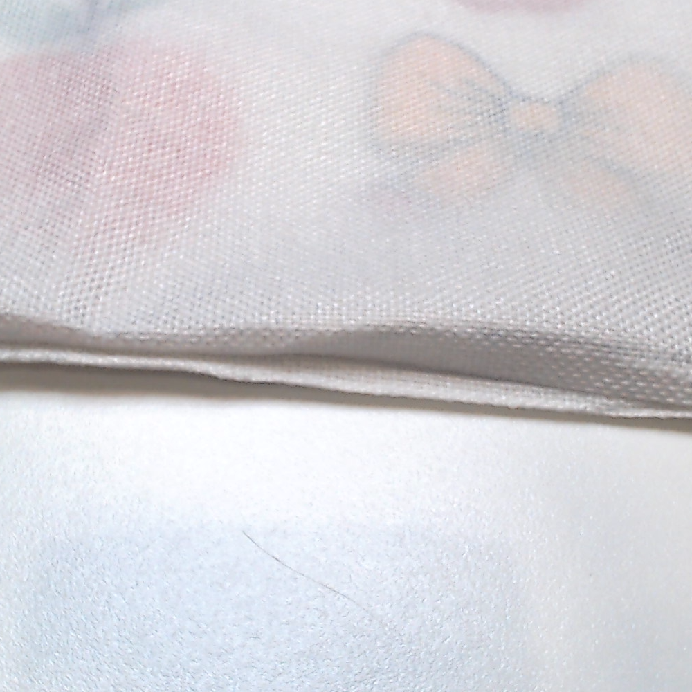 BLOOPER ACCESSORY: Monogrammed Teacher Pillow Sham