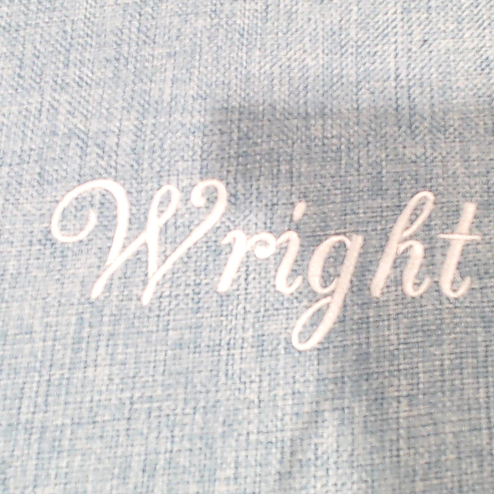 BLOOPER ACCESSORY: Monogrammed Linen Pillow Case