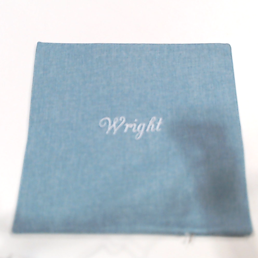 BLOOPER ACCESSORY: Monogrammed Linen Pillow Case
