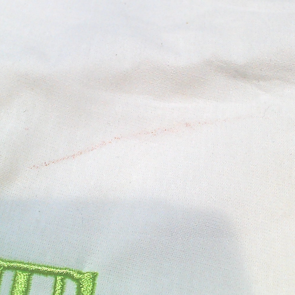 BLOOPER ACCESSORY: Monogrammed Pillow Sham