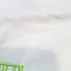 BLOOPER ACCESSORY: Monogrammed Pillow Sham