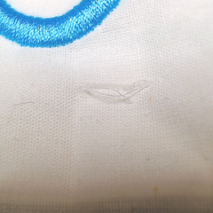BLOOPER ACCESSORY: Monogrammed Pillow Sham