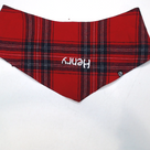 BLOOPER ACCESSORY: Personalized Dog Bandana
