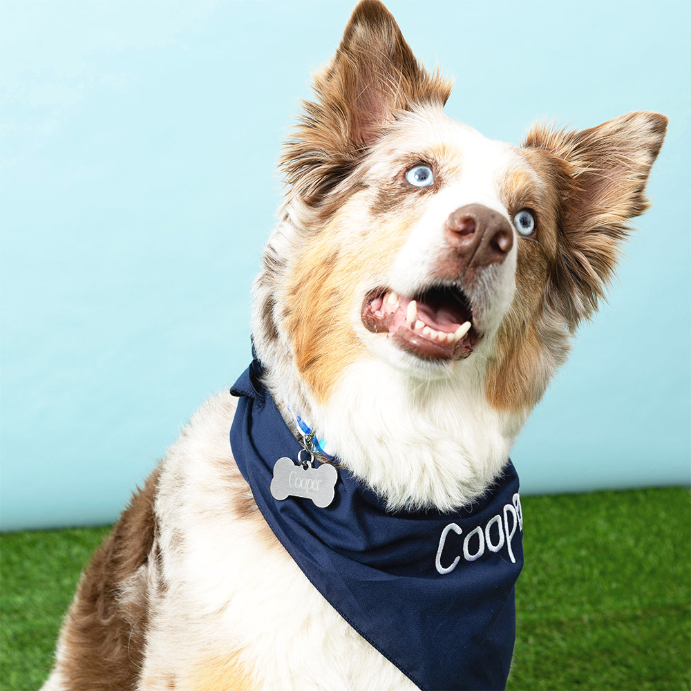 silver dog tag with navy dog bandana