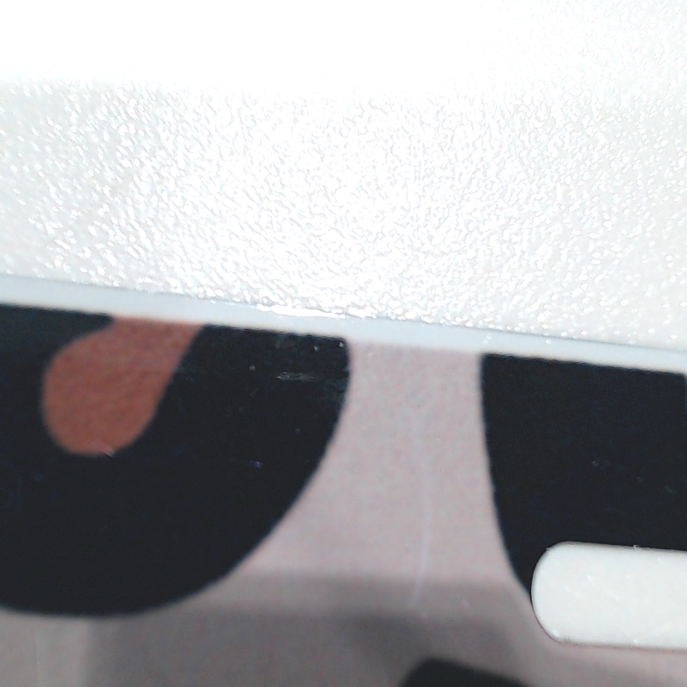 BLOOPER ACCESSORY: Monogrammed License Plate