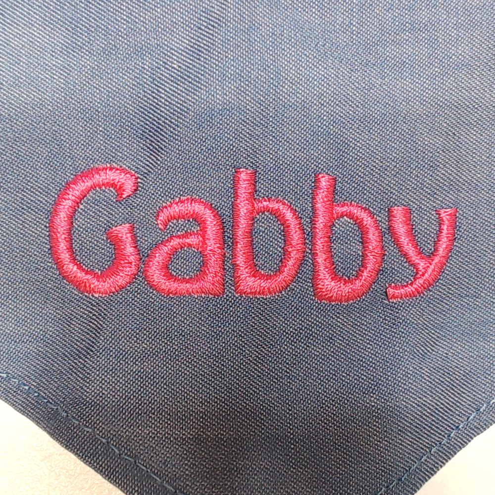 BLOOPER ACCESSORY: Personalized Dog Bandana