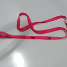 BLOOPER ACCESSORY: Personalized Dog Leash
