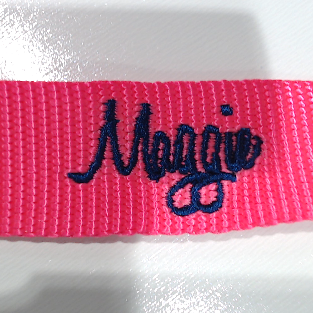 BLOOPER ACCESSORY: Personalized Dog Leash