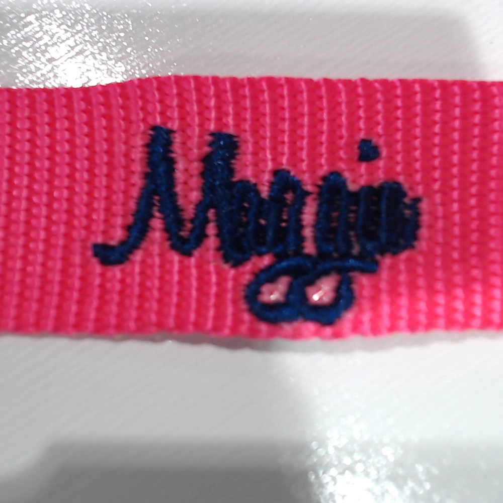 BLOOPER ACCESSORY: Personalized Dog Leash