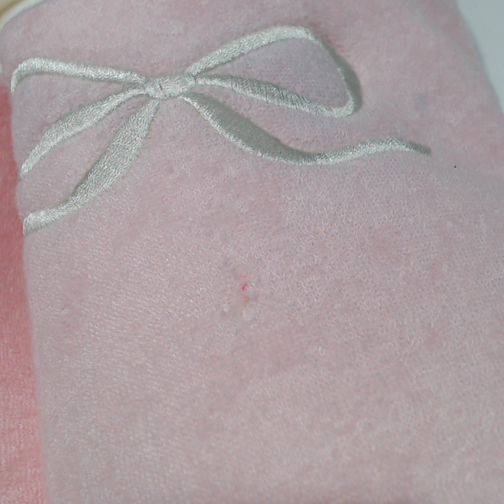BLOOPER SHOES: BLANK Slippers