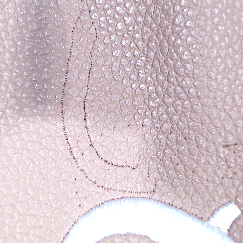 BLOOPER BAG: Monogrammed Hobo Purse