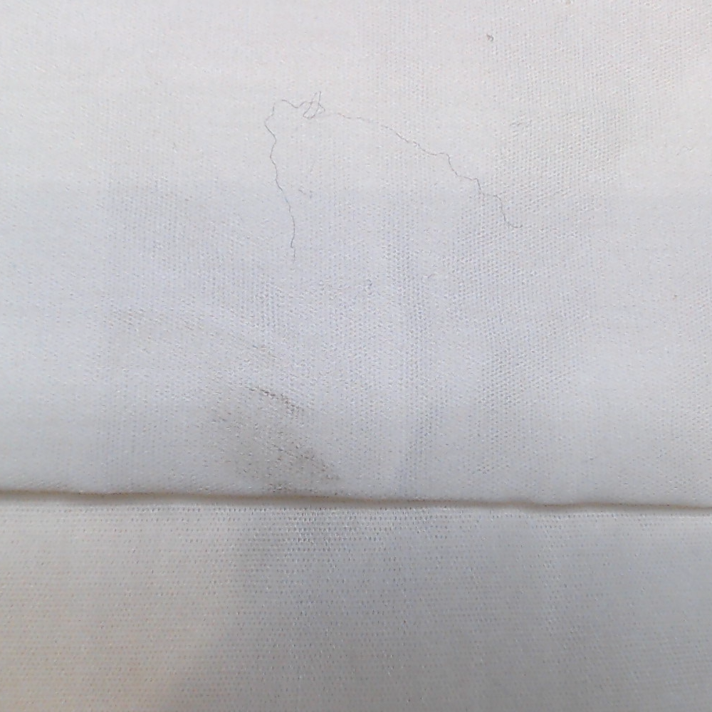 BLOOPER ACCESSORY: Monogrammed Pillow Sham