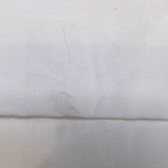 BLOOPER ACCESSORY: Monogrammed Pillow Sham