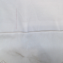 BLOOPER ACCESSORY: Monogrammed Pillow Sham