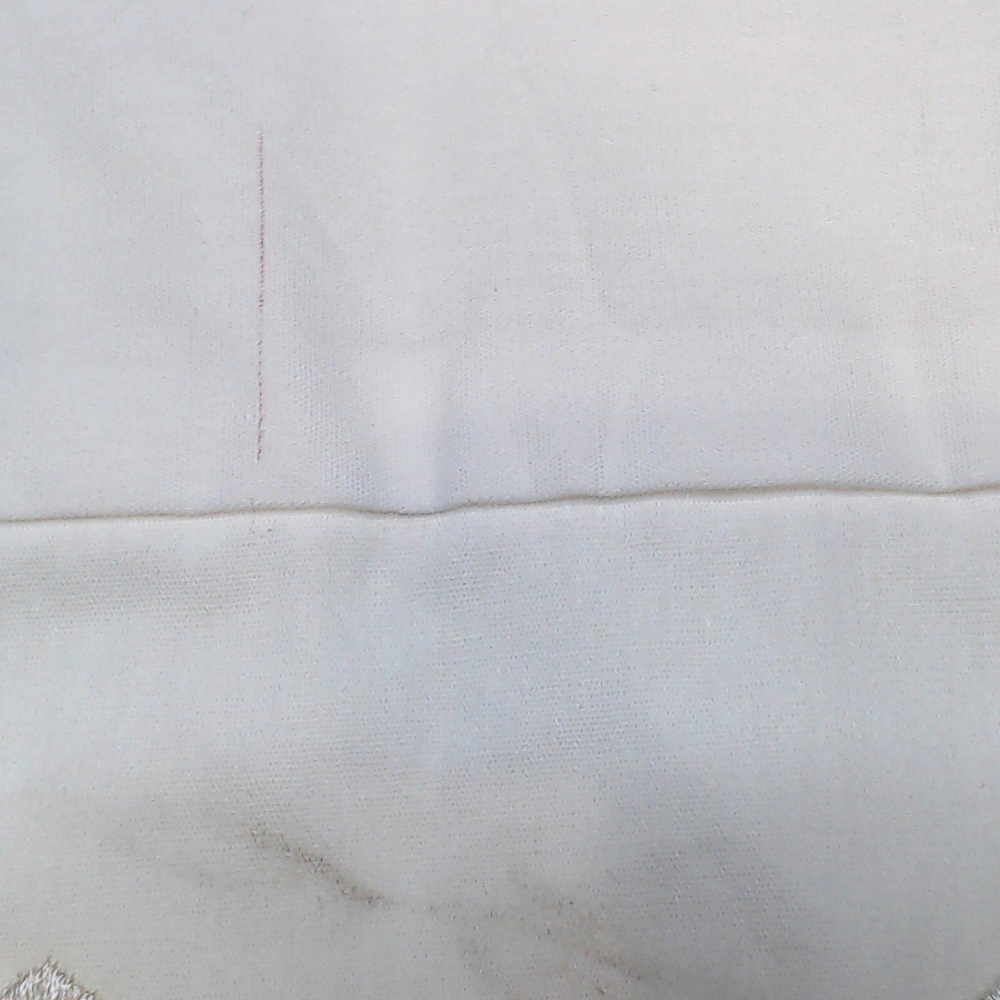 BLOOPER ACCESSORY: Monogrammed Pillow Sham