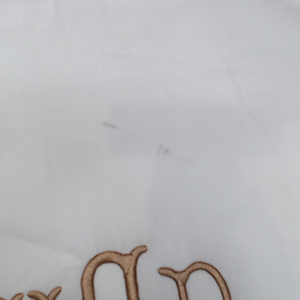 BLOOPER ACCESSORY: Monogrammed Pillow Sham
