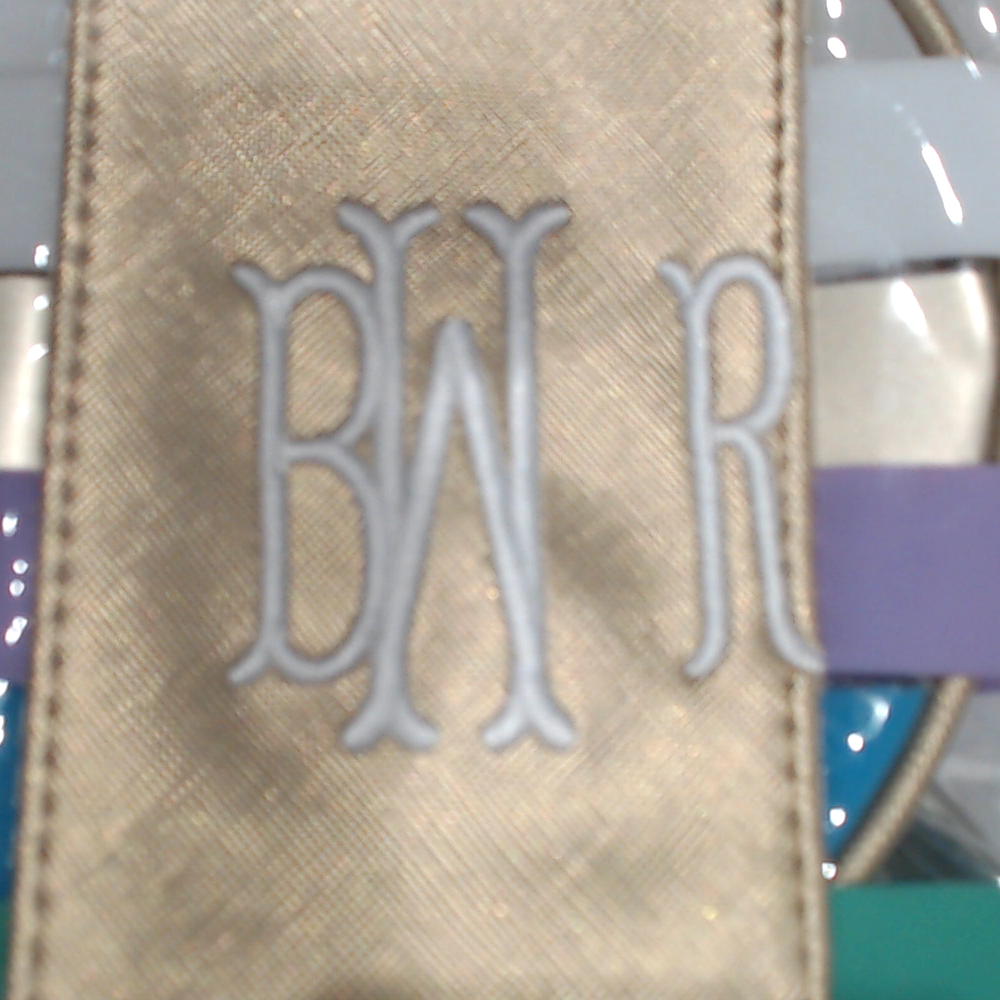 BLOOPER BAG: Monogrammed Clear Ditty Bag