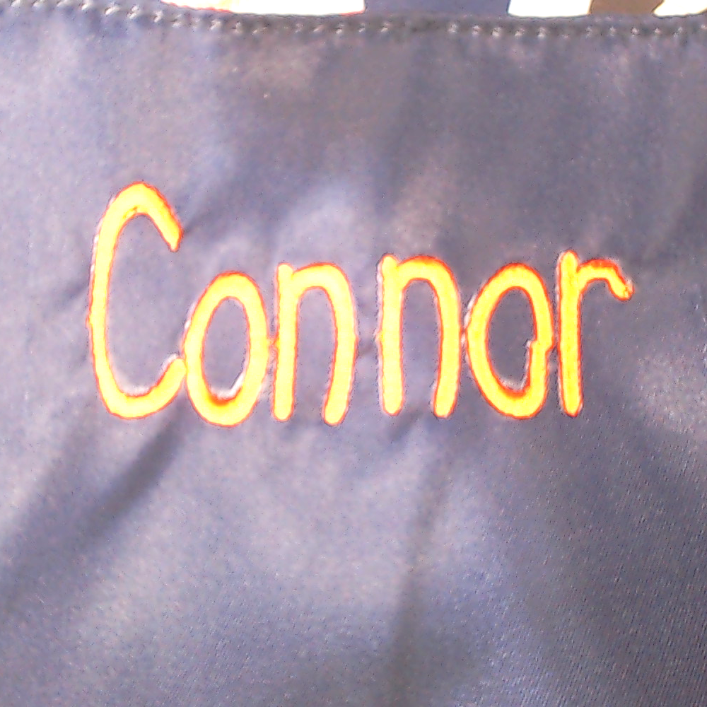 BLOOPER BAG: Personalized Lunch Box