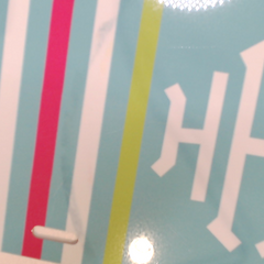 BLOOPER ACCESSORY: Monogrammed License Plate