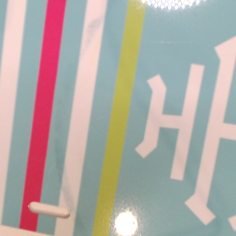 BLOOPER ACCESSORY: Monogrammed License Plate
