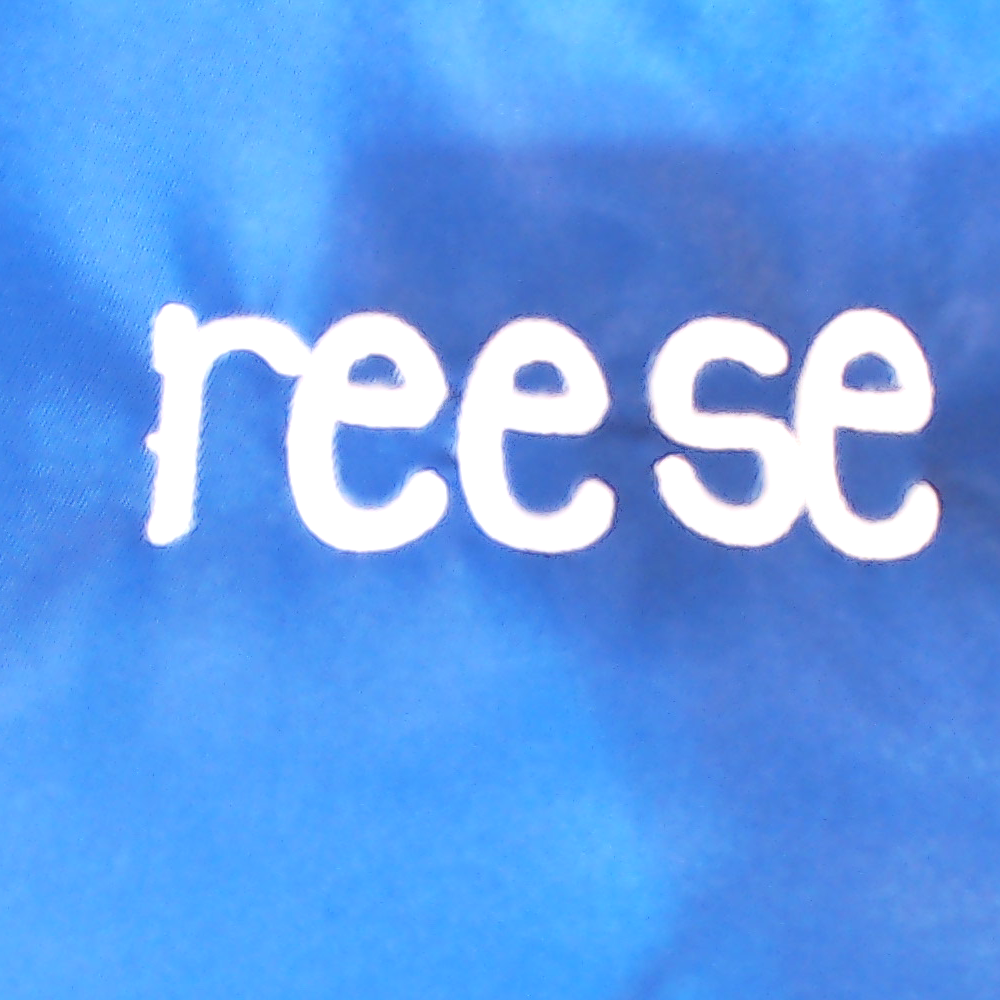 BLOOPER BAG: Personalized Lunch Box
