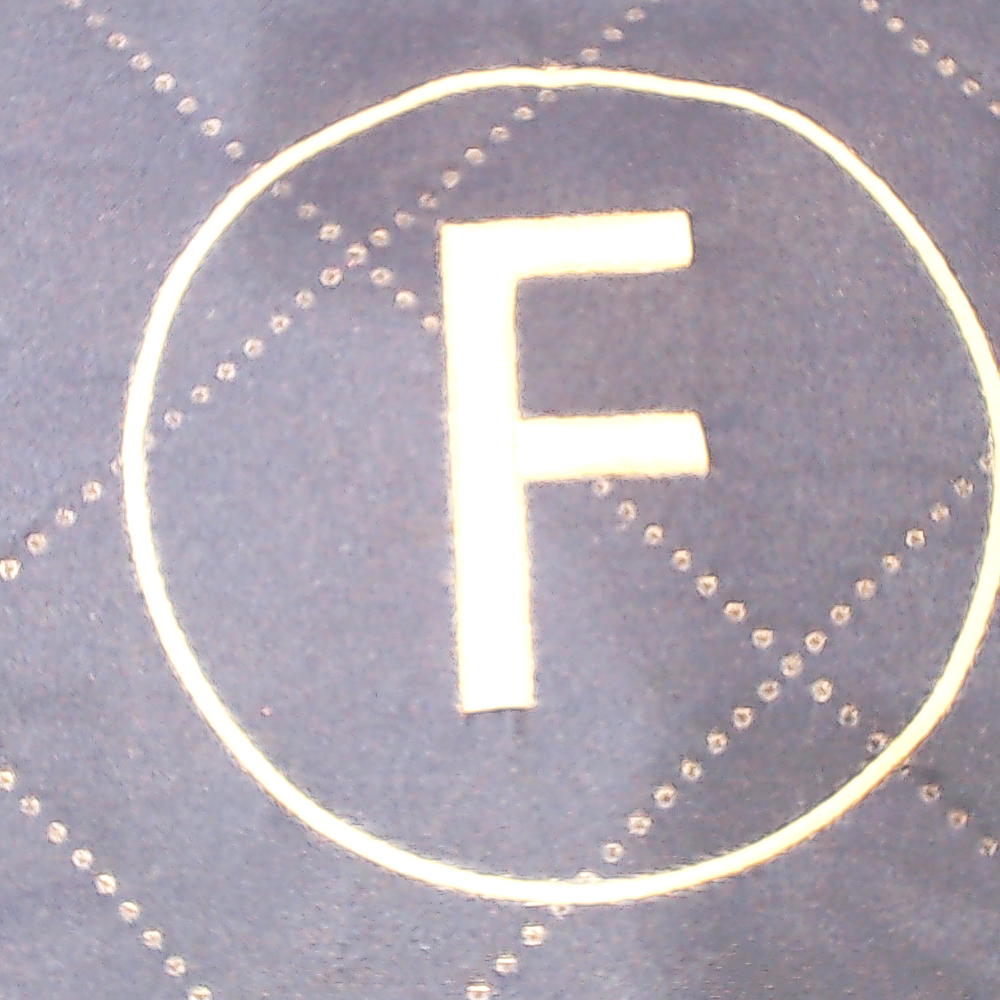 BLOOPER ACCESSORY: Personalized Picnic Blanket