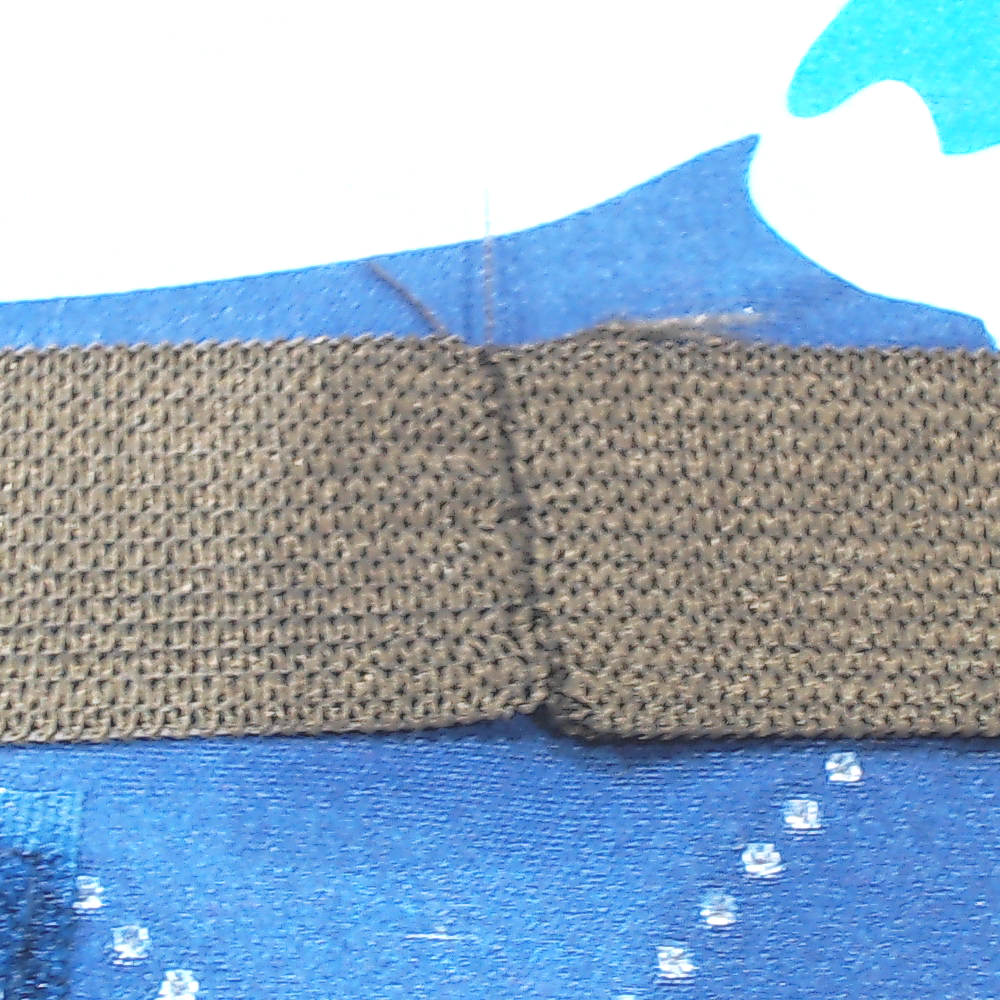 BLOOPER ACCESSORY: Personalized Picnic Blanket
