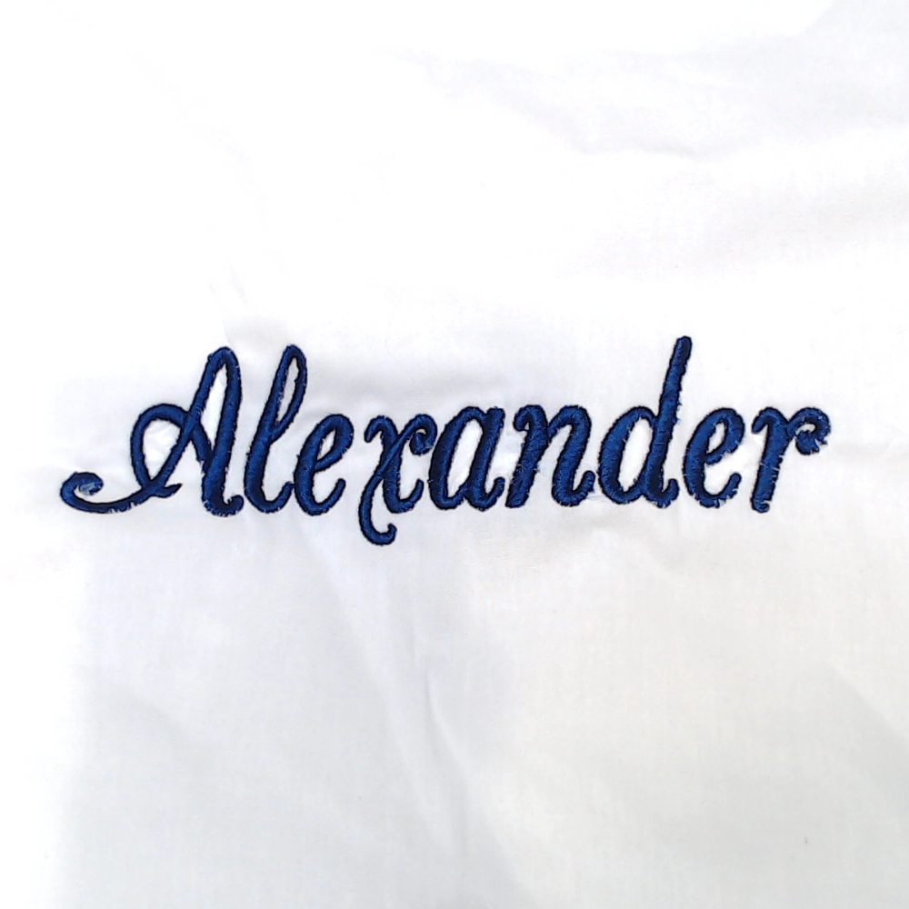 BLOOPER ACCESSORY: Monogrammed Pillow Sham