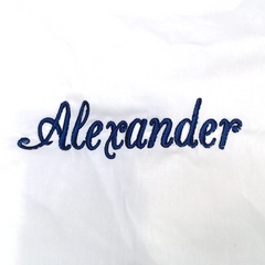 BLOOPER ACCESSORY: Monogrammed Pillow Sham