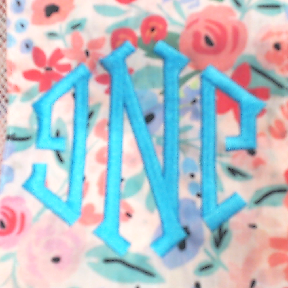 BLOOPER BAG: Monogrammed Packing Bag Set