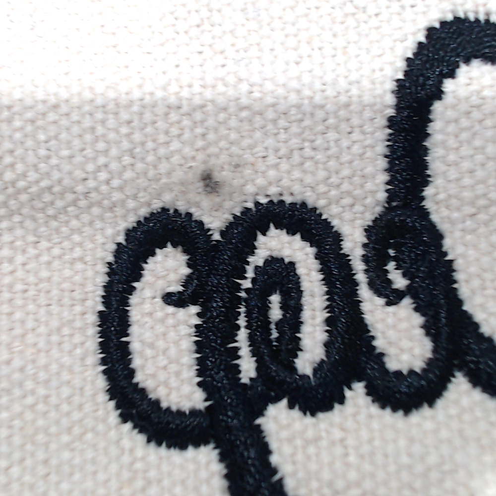 BLOOPER ACCESSORY: Monogrammed Casserole Carrier