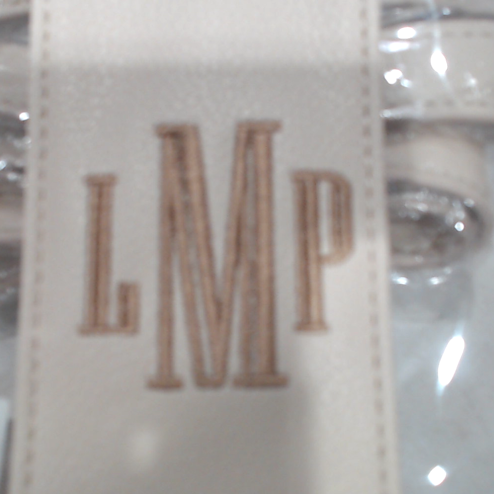 BLOOPER BAG: Monogrammed Clear Stadium Crossbody Bag