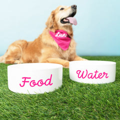 white ceramic pet bowl duo food and water with dog in bandana