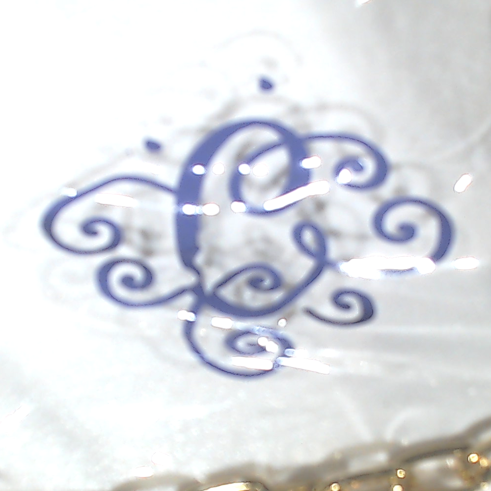 BLOOPER BAG: Personalized Clear Stadium Bag