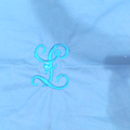 BLOOPER ACCESSORY: Monogrammed Pillow Sham