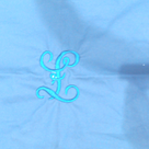 BLOOPER ACCESSORY: Monogrammed Pillow Sham