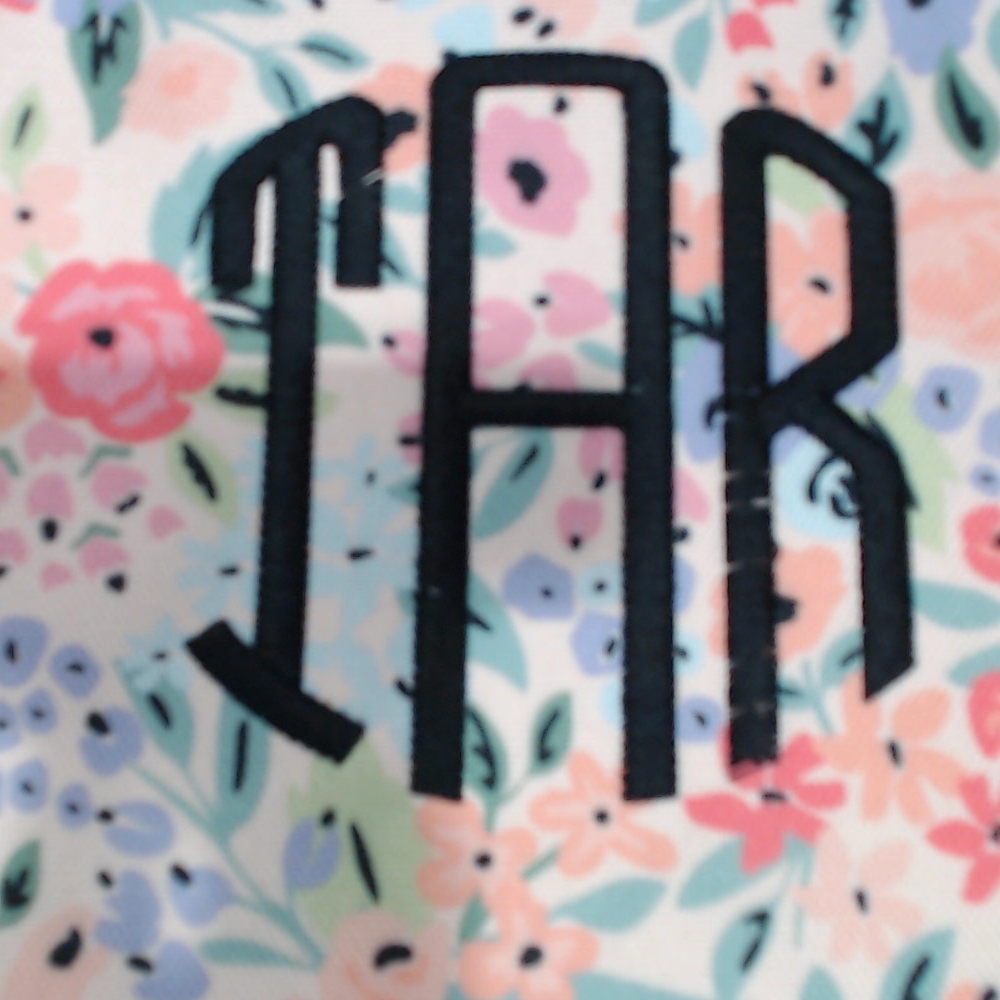 BLOOPER ACCESSORY: Monogrammed Slow Cooker Carrier
