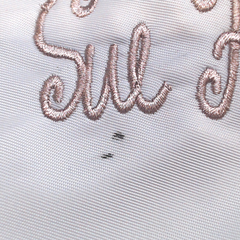 BLOOPER BAG: Monogrammed Belt Bag