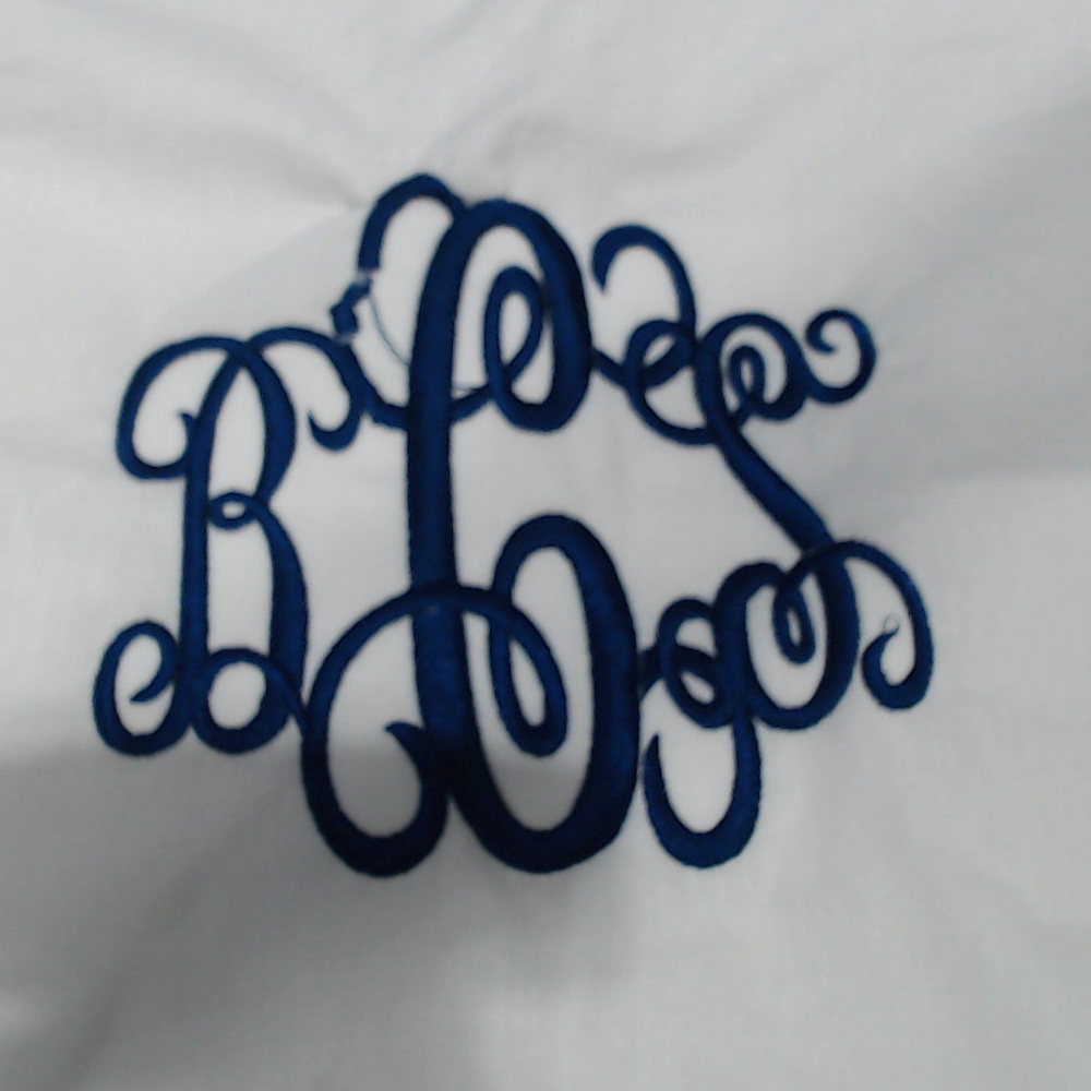 BLOOPER ACCESSORY: Monogrammed Pillow Sham