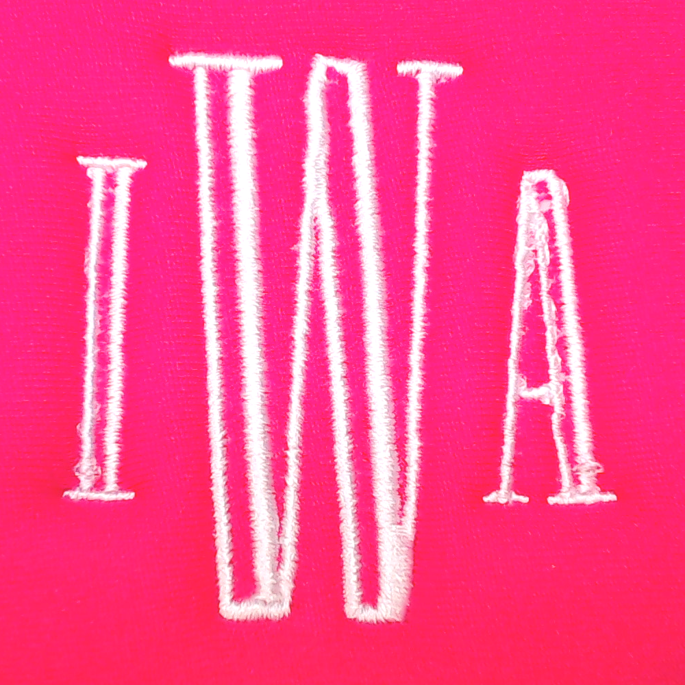 BLOOPER BAG: Monogrammed Water Bottle Belt Bag