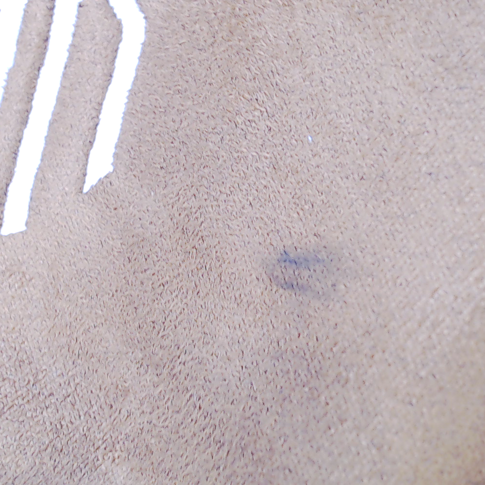 BLOOPER BAG: Monogrammed Suede Saddlebag