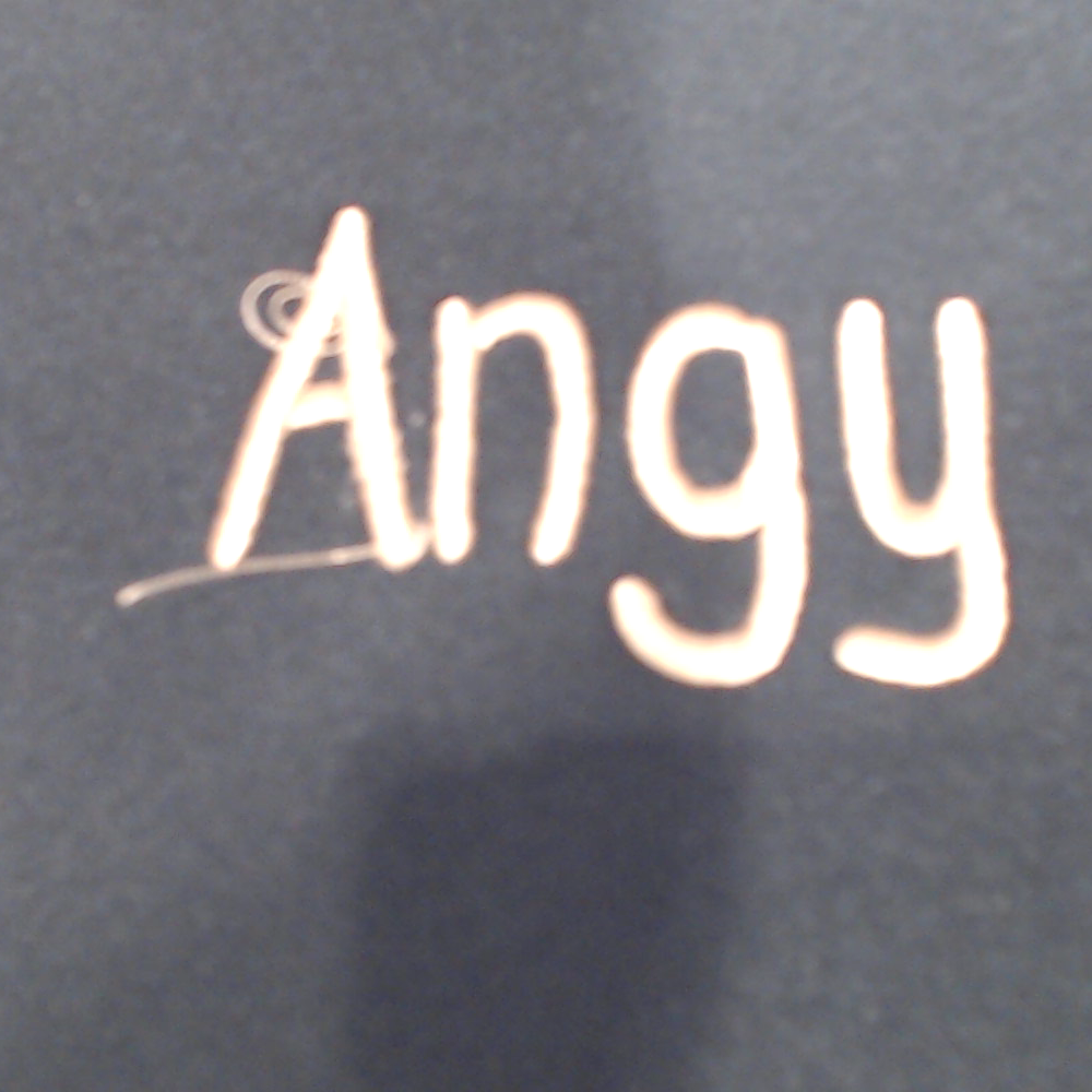 BLOOPER BAG: Monogrammed Lunch Bag