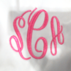 BLOOPER BAG: Monogrammed Belt Bag